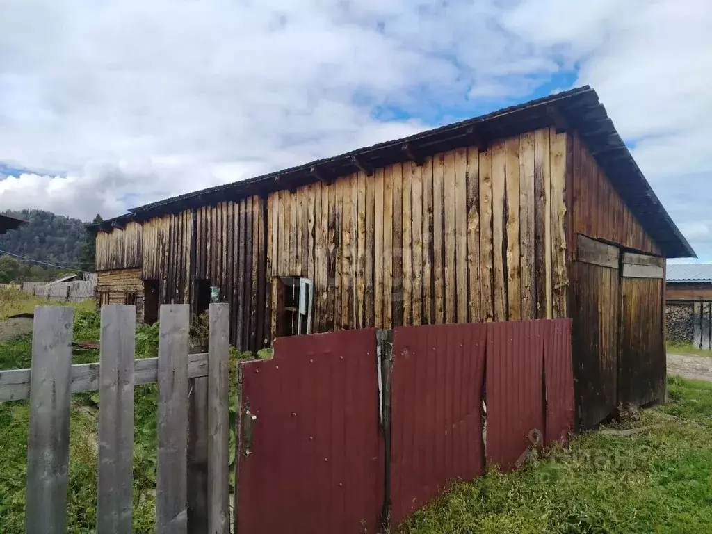 Дом в Алтай, Чойский район, с. Каракокша Юбилейная ул., 31 (39 м) - Фото 1