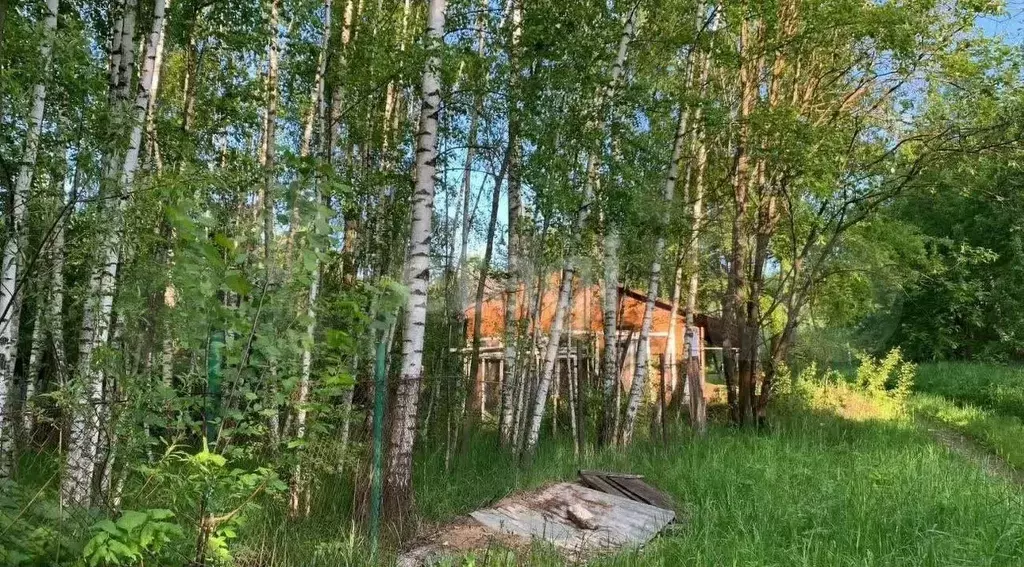 Участок 10 сот. (СНТ, ДНП) - Фото 1