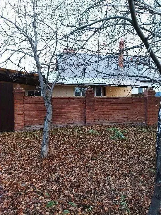 Дом в Самарская область, Ставропольский район, с. Тимофеевка ул. ... - Фото 1