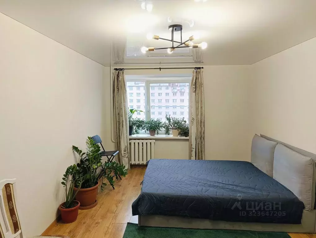 2-к кв. Санкт-Петербург Бухарестская ул., 72К1 (51.8 м) - Фото 2