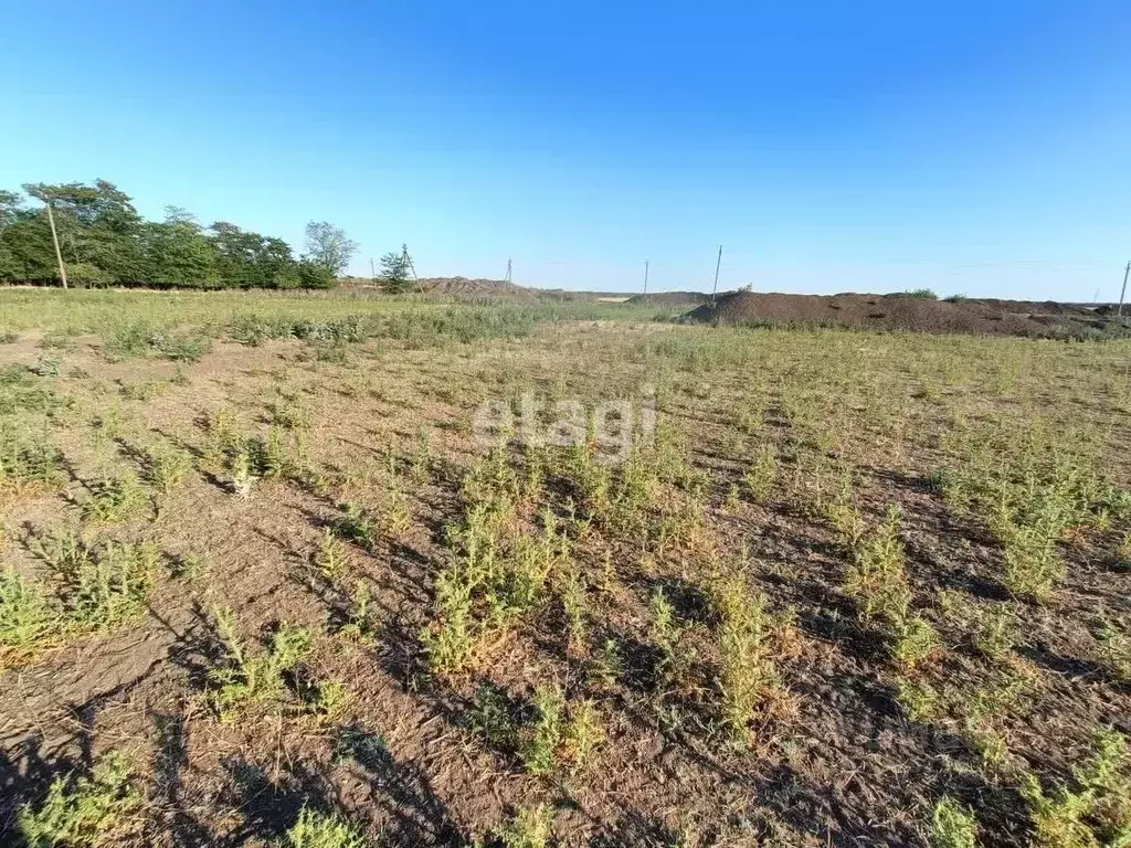 Участок в Краснодарский край, Ейский район, Александровское с/пос, с. ... - Фото 2