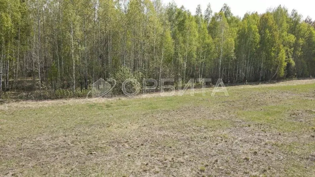 Участок в Тюменская область, Тюменский район, с. Горьковка Сибирская ... - Фото 0