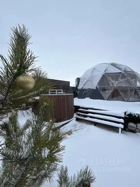 Дом в Воронежская область, Новоусманский район, Никольское с/пос, пос. ... - Фото 2