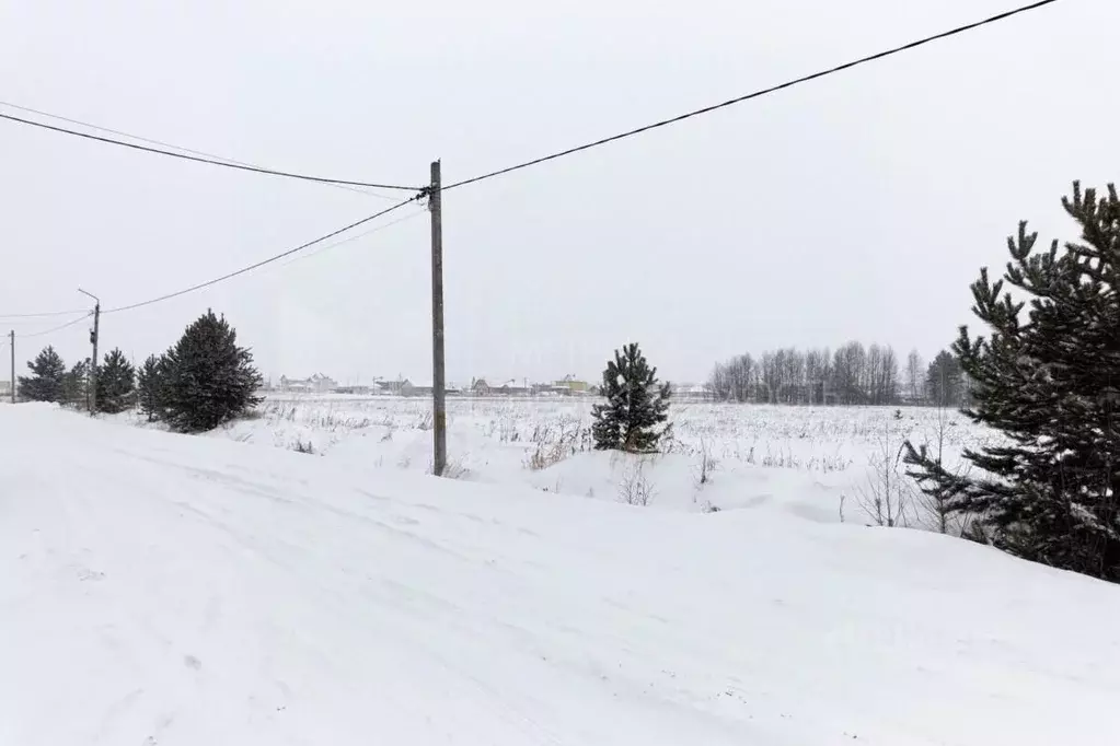 Участок в Тюменская область, Тюменский район, д. Падерина  (8.0 сот.) - Фото 0