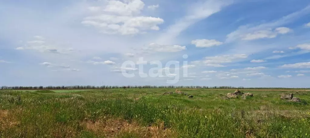 Участок в Крым, Сакский район, с. Ромашкино  (6.0 сот.) - Фото 0
