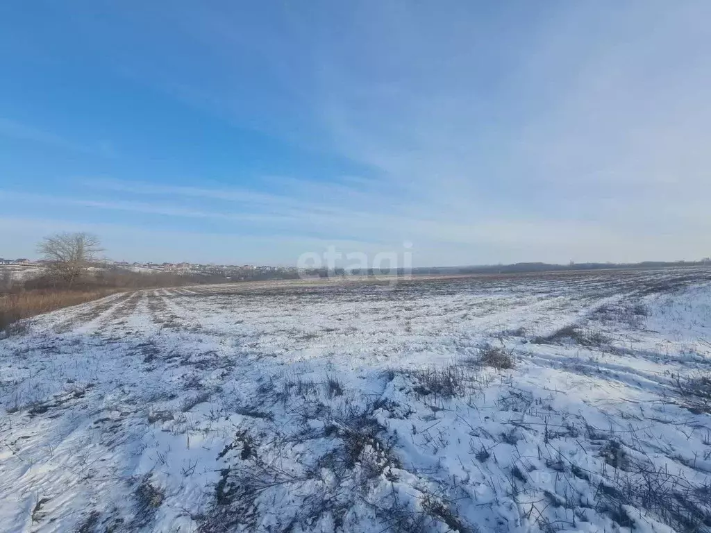 Участок в Белгородская область, Белгород  (15.1 сот.) - Фото 1