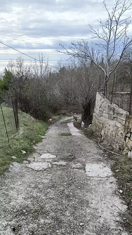 Участок в Крым, Ялта муниципальный округ, с. Оползневое  (12.0 сот.) - Фото 1