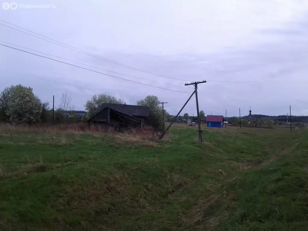 Участок в Пермский край, Карагайский муниципальный округ, село ... - Фото 2