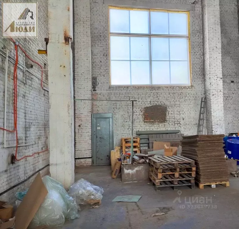 Помещение свободного назначения в Новосибирская область, Новосибирск ... - Фото 0