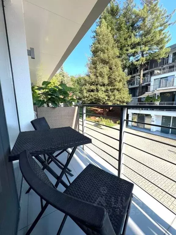 Комната Краснодарский край, Сочи городской округ, Дагомыс пгт ул. ... - Фото 2