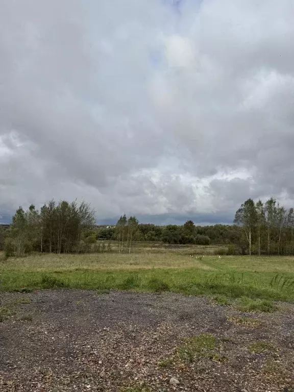 Продается участок в д. Бузаево - Фото 1