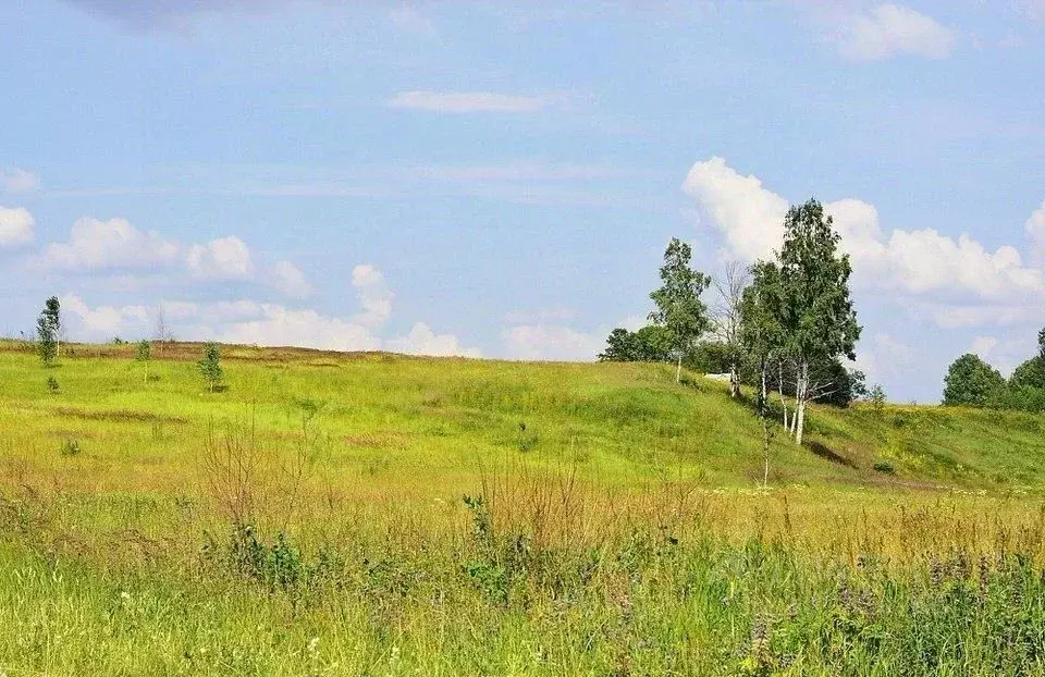 Участок в Московская область, Клин городской округ, д. Коськово  (11.3 ... - Фото 1