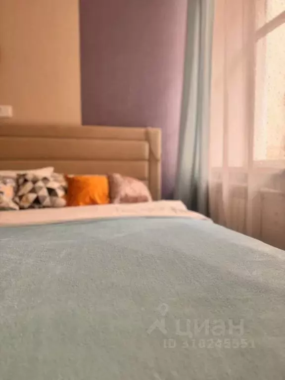 1-к кв. Санкт-Петербург Гороховая ул., 55 (16.0 м) - Фото 1