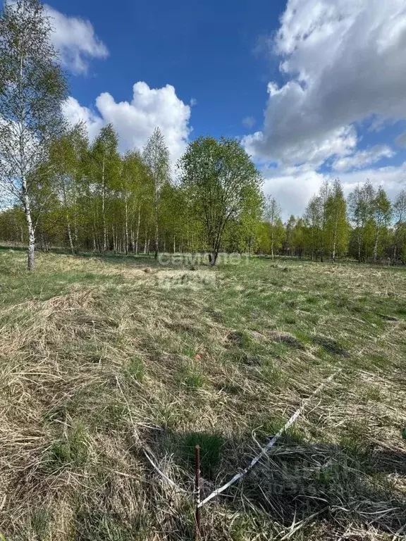 Участок в Калужская область, Бабынинский район, Воротынск городское ... - Фото 2