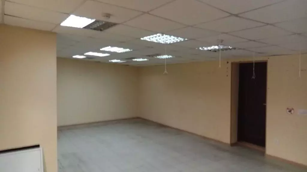 Торговая площадь в Свердловская область, Нижний Тагил просп. Мира, 57 ... - Фото 2