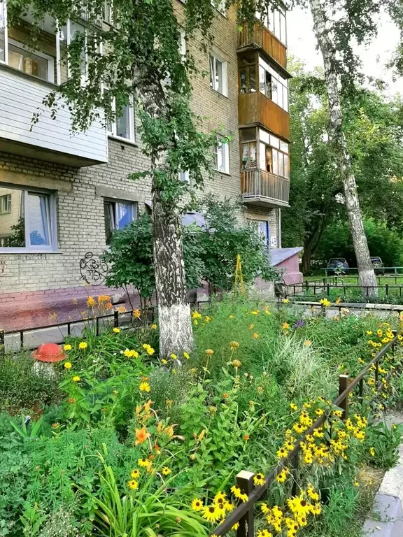 2-к кв. Новосибирская область, Новосибирск ул. Блюхера, 49 (43.0 м) - Фото 1