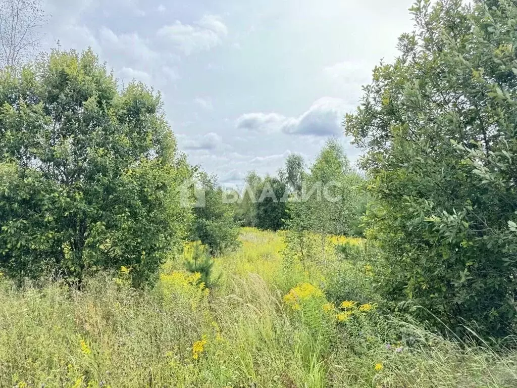 Участок в Владимирская область, Владимир д. Злобино,  (10.03 сот.) - Фото 0