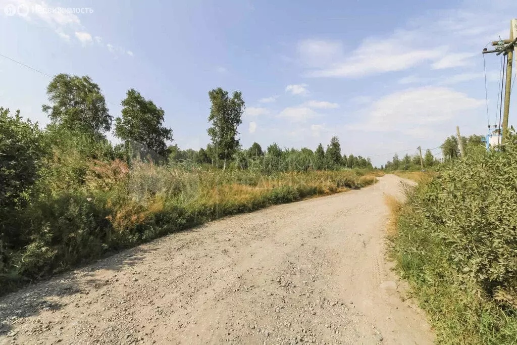 Участок в Нижнетавдинский район, село Тюнево (8.03 м) - Фото 0