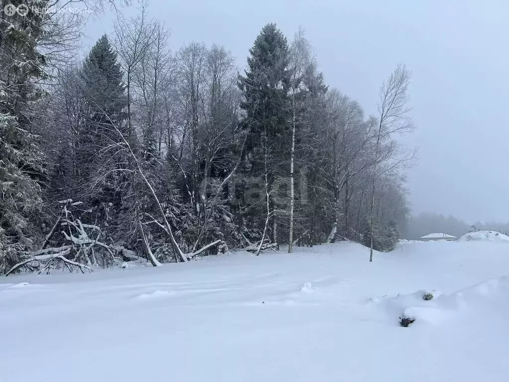 Участок в Вологодский муниципальный округ, посёлок Васильевское (11.9 ... - Фото 1