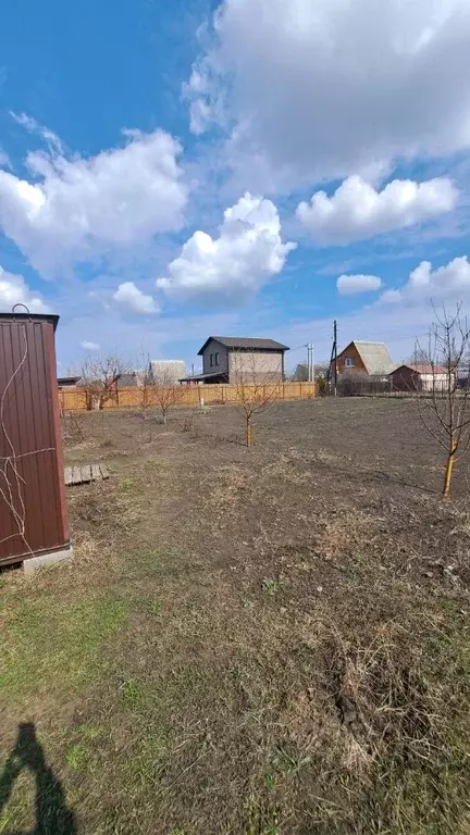 Участок в Воронежская область, Новоусманский район, Отрадненское ... - Фото 2