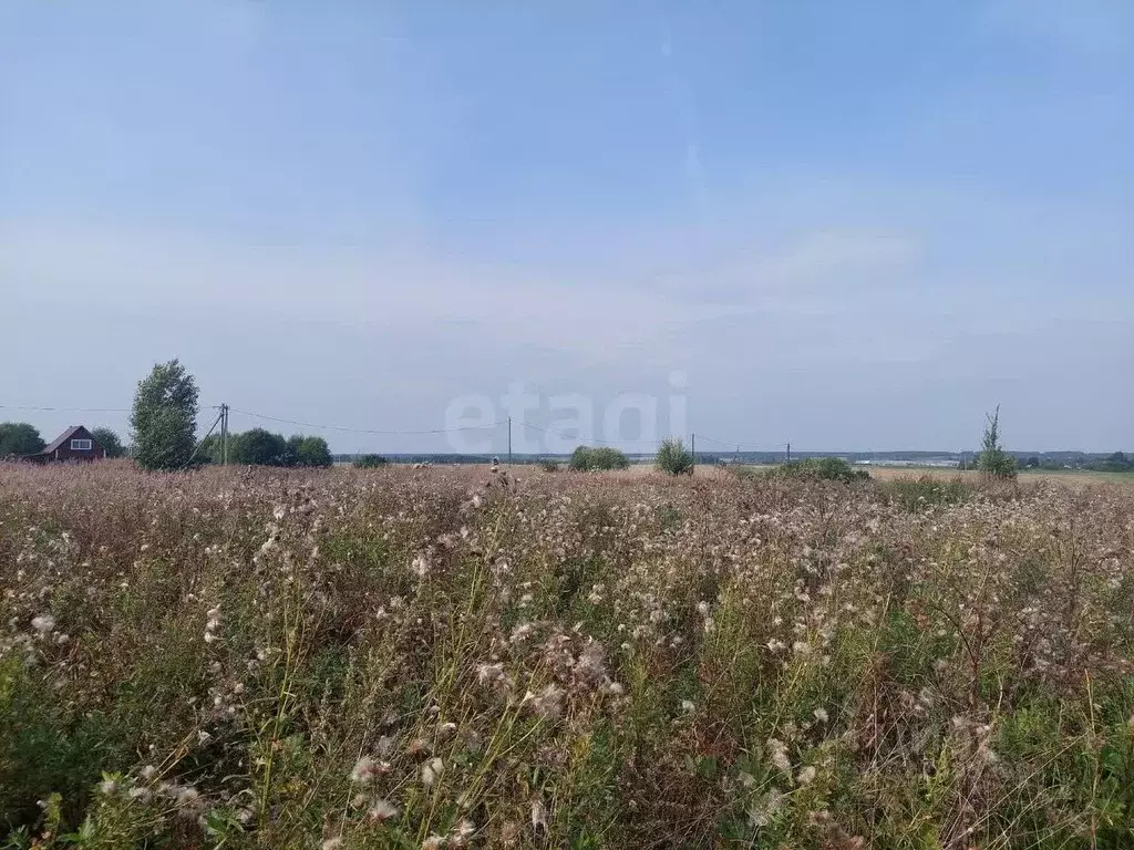 Участок в Вологодская область, пос. Ермаково  (16.22 сот.) - Фото 1