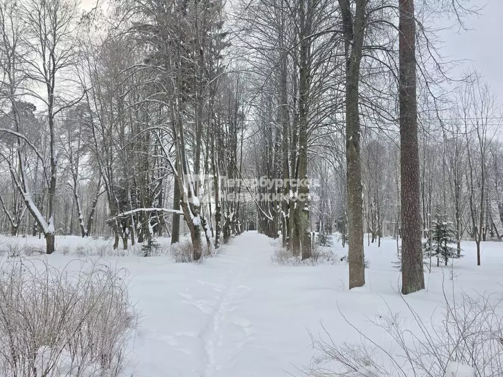 Участок в Ленинградская область, Выборгский район, Полянское с/пос, ... - Фото 1
