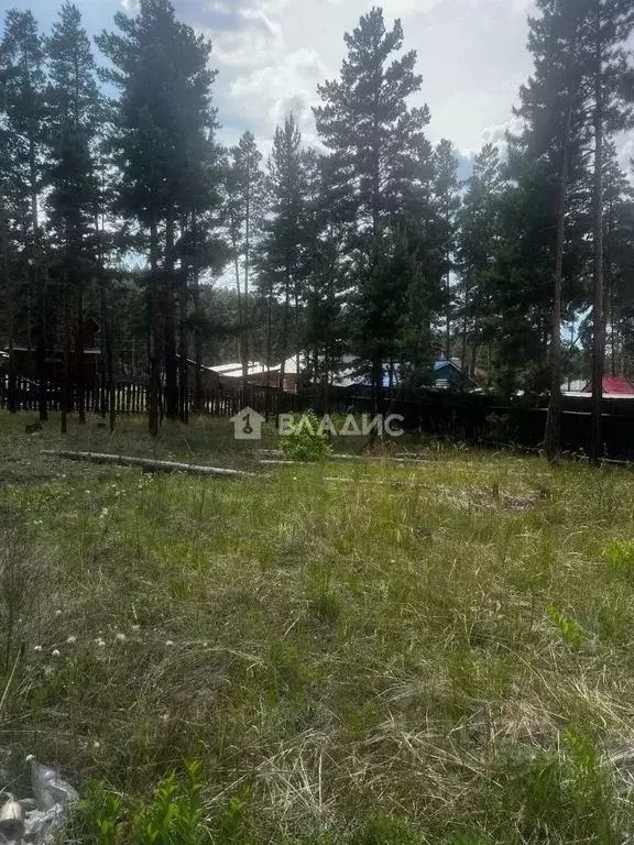 Участок в Бурятия, Улан-Удэ Серебряный Бор ДНТ,  (8.0 сот.) - Фото 0