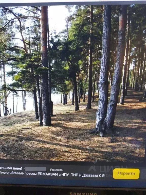 Участок в Тверская область, Калининский муниципальный округ, Турист СТ ... - Фото 1