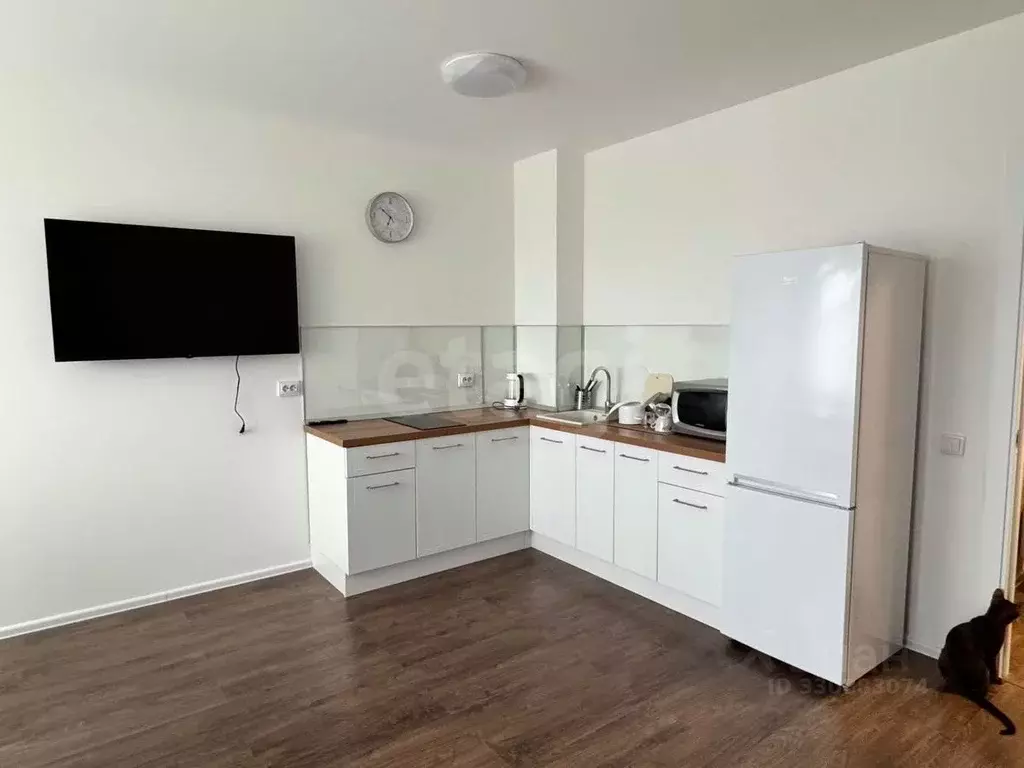 Студия Санкт-Петербург ул. Пахомовская, 22 (25.3 м) - Фото 1