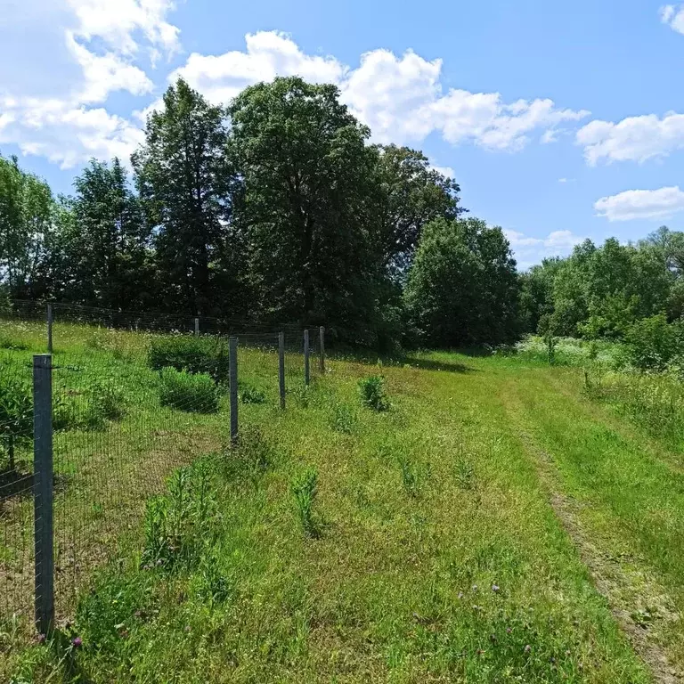Участок в Московская область, Коломна городской округ, с. Фроловское  ... - Фото 1