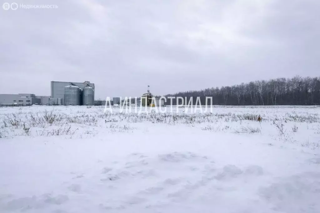 Участок в Московская область, городской округ Домодедово, деревня ... - Фото 1