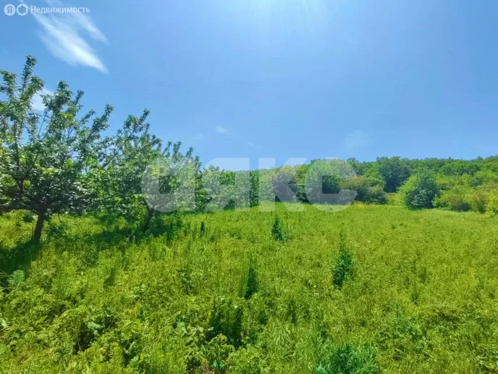 Участок в село Бужор, Солнечная улица (31 м) - Фото 1