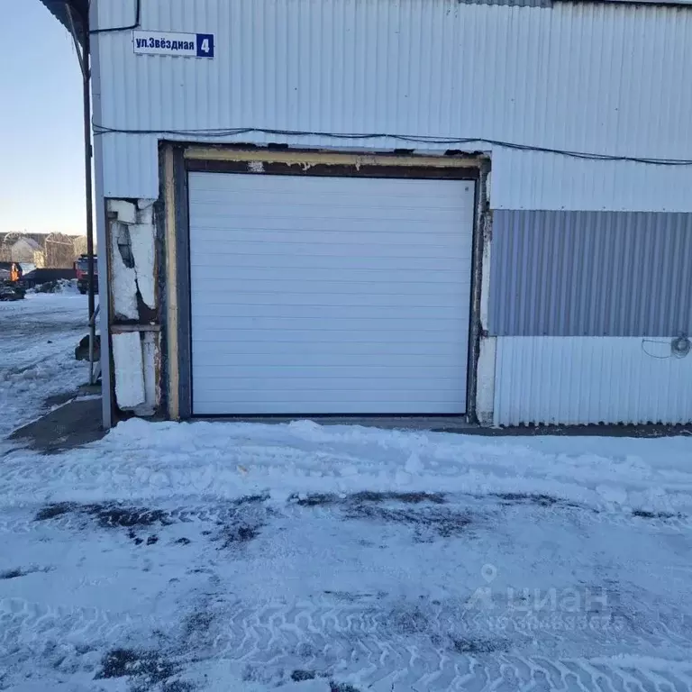 Помещение свободного назначения в Алтайский край, Барнаул Звездная ... - Фото 1