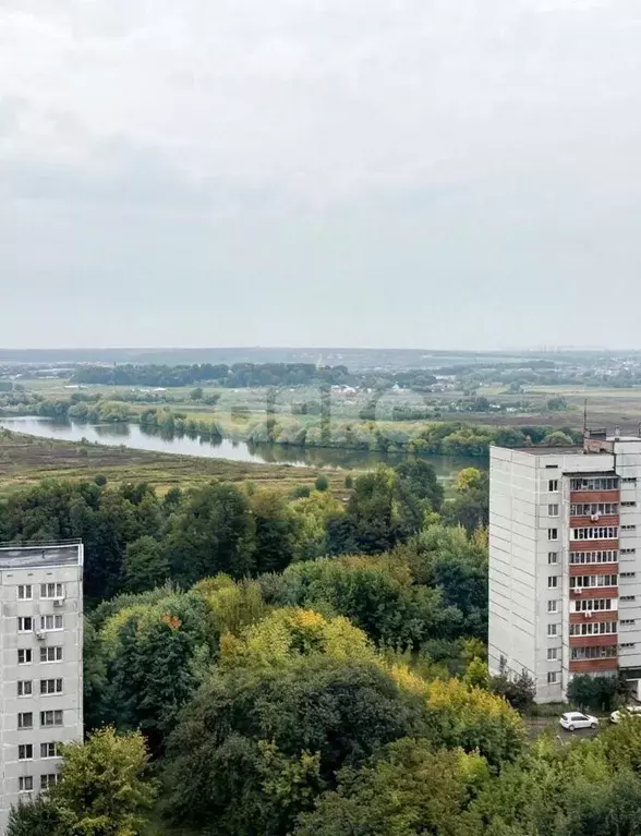 Студия Московская область, Лыткарино 6-й мкр, 15Д (27.1 м) - Фото 1
