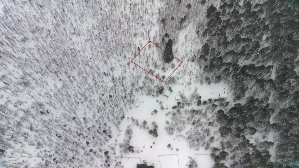 Участок в Томская область, Томский район, Лесная дача СНТ  (7.0 сот.) - Фото 2