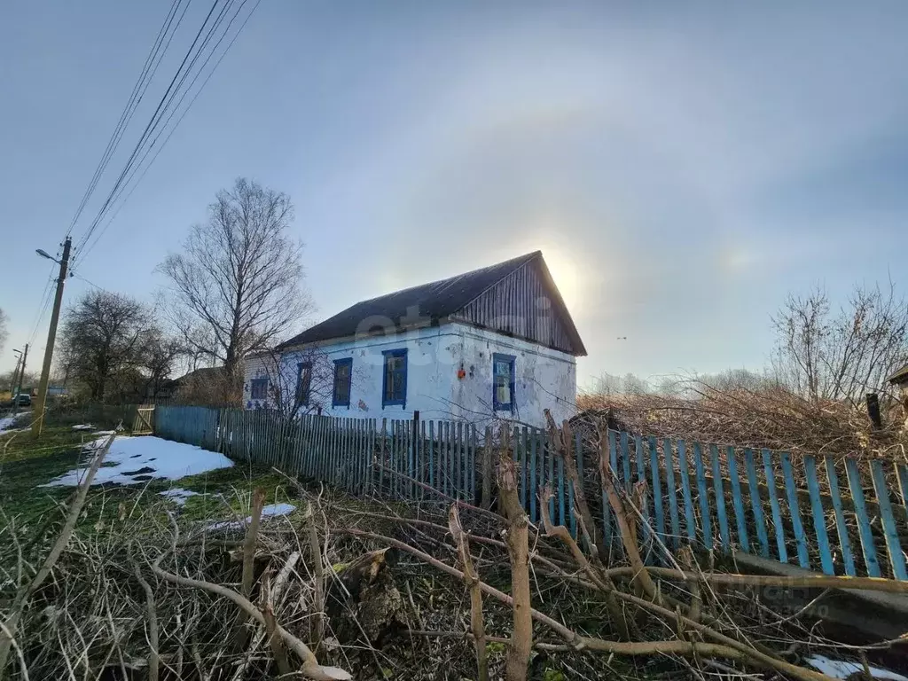 Дом в Брянская область, Брянский район, Отрадненское с/пос, д. ... - Фото 2