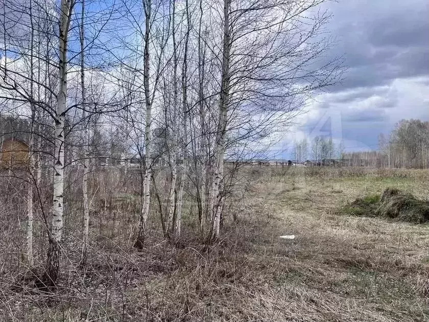 Участок 16,5 сот. (ИЖС) - Фото 0