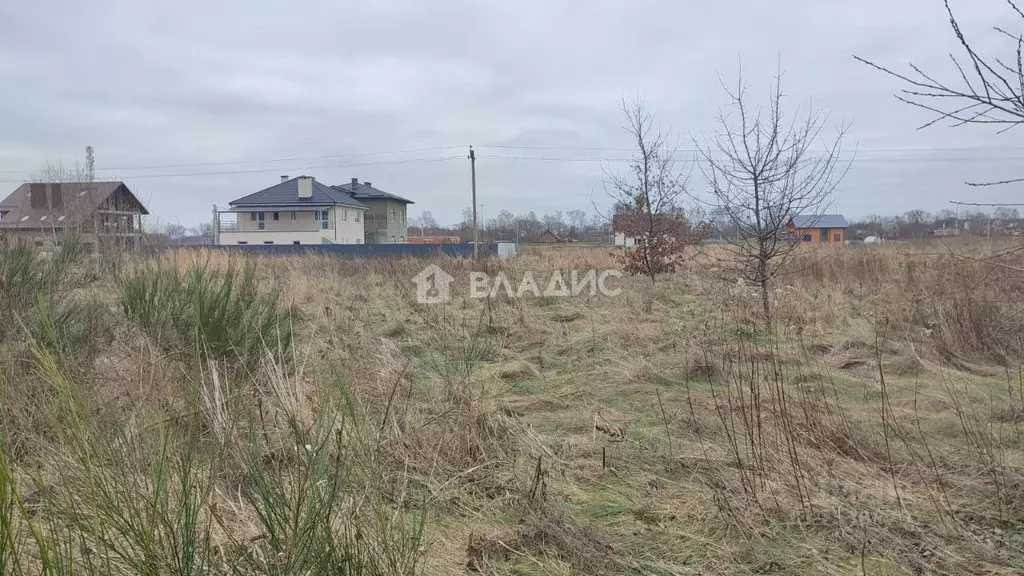 Купить участок в пионерском. Купить земельный участок в Пионерском Калининградской области.