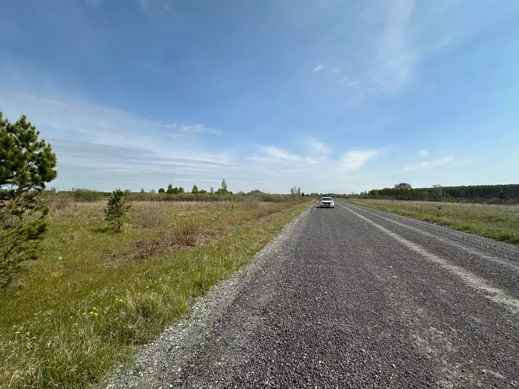 Участок в Тюменская область, Тюменский район, с. Салаирка  (820.0 ... - Фото 0