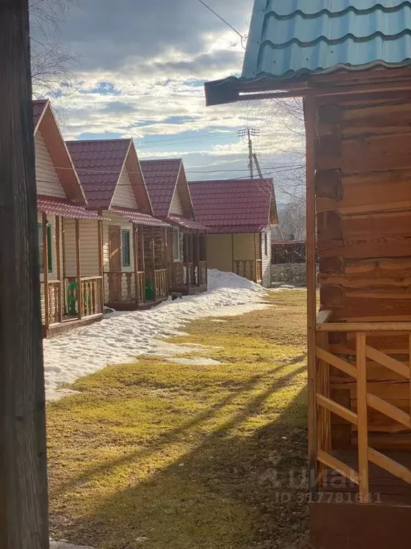 Дом в Алтай, Усть-Коксинский район, с. Усть-Кокса ул. Аргучинского, ... - Фото 0
