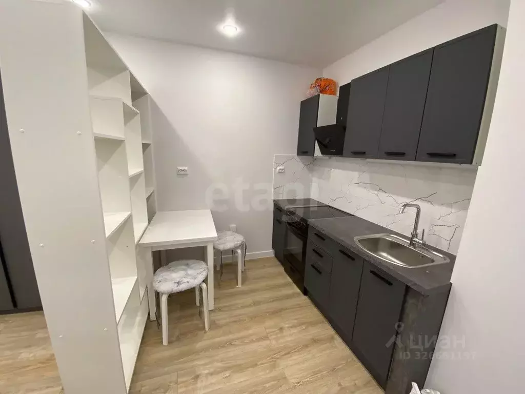 Студия Ленинградская область, Мурино Всеволожский район, просп. ... - Фото 2