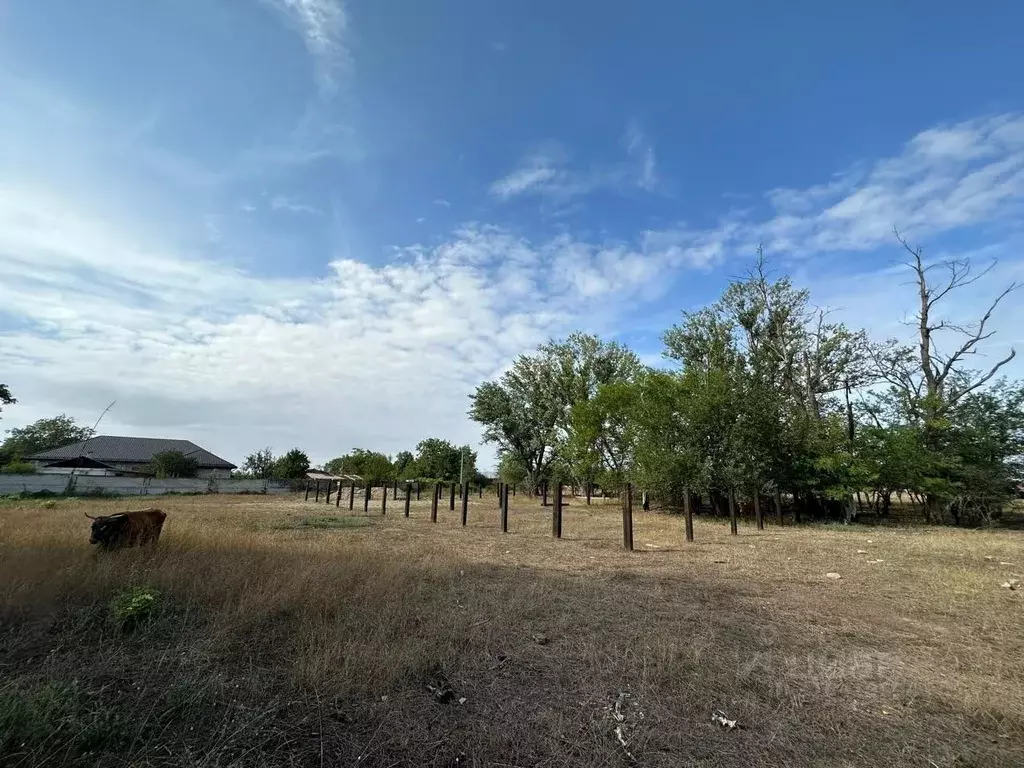 Участок в Чеченская республика, Грозный ул. Исмаила Ибрагимовича ... - Фото 2