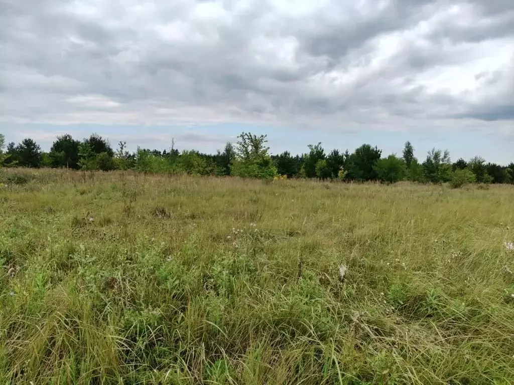 Участок в Воронежская область, Рамонский район, Березовское с/пос, ... - Фото 2