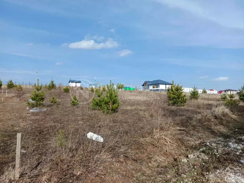 Участок в Нижегородская область, Богородский муниципальный округ, д. ... - Фото 1