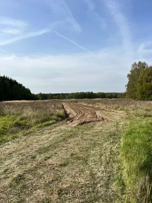 Участок в Московская область, Раменский муниципальный округ, Опушкино ... - Фото 2