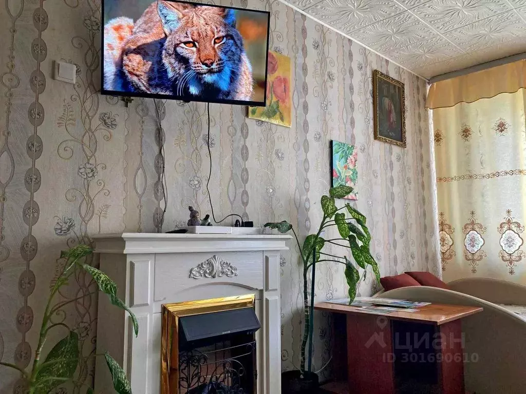 1-к кв. Новгородская область, Старая Русса ул. Гостинодворская, 22 ... - Фото 0
