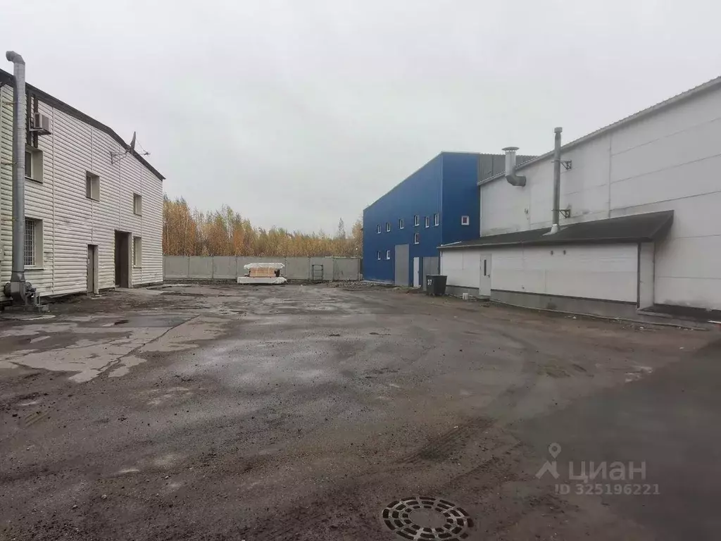 Помещение свободного назначения в Санкт-Петербург Петергофское ш., ... - Фото 2