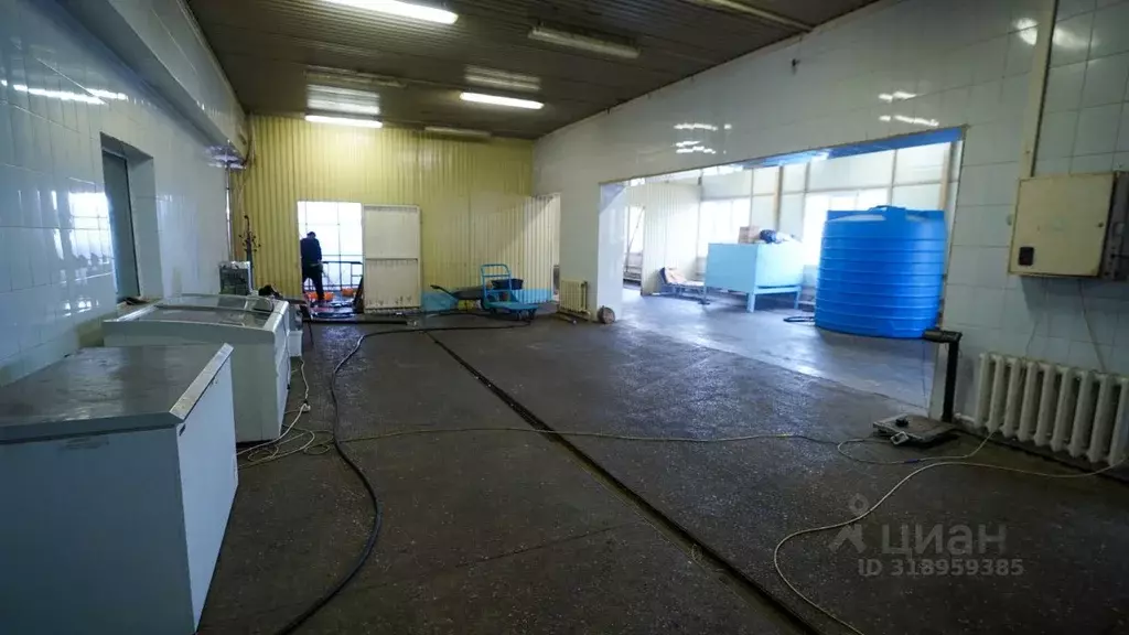 Помещение свободного назначения в Камчатский край, Елизовский район, ... - Фото 1