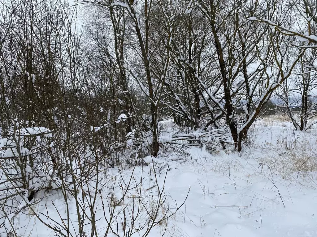 Участок в Московская область, Клин городской округ, д. Еросимово  ... - Фото 1