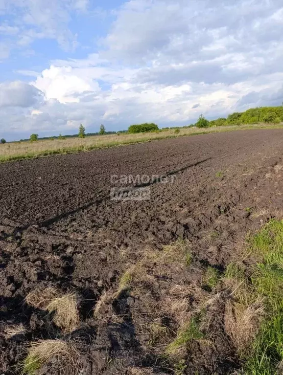Участок в Курская область, Курский район, Щетинский сельсовет, Саблин ... - Фото 0